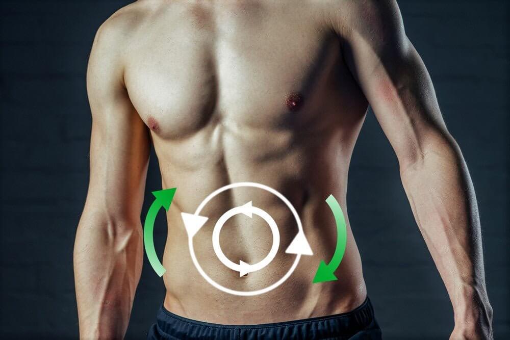 Métabolisme et perte de poids : Comment vous brûlez les calories - TrainingDietMax
